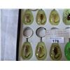 Image 2 : TRAY OF GLOW IN THE DARK SCORPION AND BUG KEYCHAINS