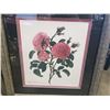 Image 2 : 2 ROSA CENTIFOLIA FRAMEED PRINTS