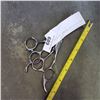Image 2 : NEW STAINLESS BARBERS SCISSORS