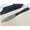 Image 2 : 3 NEW THROWING KNIVES