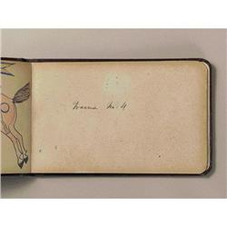 Complete album of Walter Bone Shirt drawings 