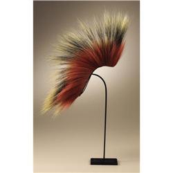 Plains / Prairie Roach 