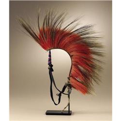 Plains/Prairie Roach 