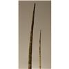 Image 3 : Mimbres Wood Bow and Arrow 