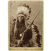 Image 1 : Cabinet Card - SP of Sioux "Chief White Deer" 