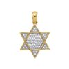 Image 1 : 1/5 CTW Mens Round Diamond 6-Point Star Magen David Charm Pendant 10kt Yellow Gold - REF-14F4M