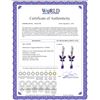Image 2 : Genuine 2.74 ctw Amethyst Earrings 14KT White Gold - REF-42Z6N