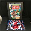 Image 1 : STAR WARS/ SPIDER-MAN CANVAS ART LOT