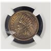 Image 2 : 1860 1C Indian Head Penny Cent NGC Uncirculated