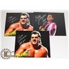 Image 1 : LOT OF 3 WWE WRESTLING BARBER BEEF CAKE SIGNED