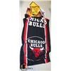 Image 1 : CHICAGO BULLS FLAG AND 2 PENNANTS HARLREM AND SNOO