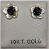 Image 1 : 10K YELLOW GOLD 2 SAPPHIRE(0.66CT)  EARRINGS