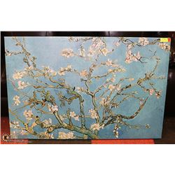 LARGE DOGWOOD TREE PICTURE