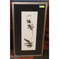 FRAMED ART- FLOWERING ORCHID