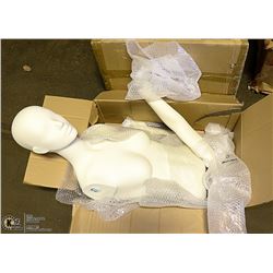 LOT OF 2 MANEQUIN BUSTS