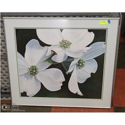 FRAMED ART- DOGWOOD STUDY