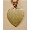 Image 1 : Tiny 14K Heart & Chain #1044970