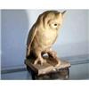 Image 1 : Plaster Owl Victorian #1046030