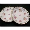 Image 1 : Pair of Roesler Plates #1046073