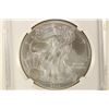 Image 1 : 2013 AMERICAN SILVER EAGLE NGC MS70 FIRST