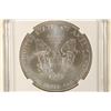 Image 2 : 2012 AMERICAN SILVER EAGLE NGC MS70 FIRST