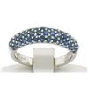 Image 1 : 14kt White Gold 1.25 ctw Domed Pave Round Blue Sapphire Band Ring
