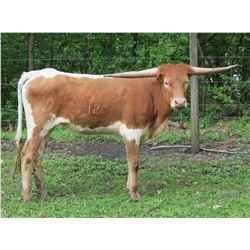 SCRATCH - SAVANAH DELTA