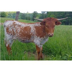 MM MISS TUFF DON'T STOP