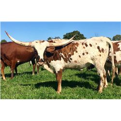 HUBBELLS CATCHIT LEIGH