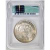 Image 4 : 1921 MORGAN DOLLAR ICG-MS 64