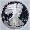 Image 2 : 1995-W AM. SILVER EAGLE, PERFECT GEM PROOF DCAM