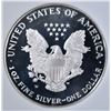 Image 3 : 1995-W AM. SILVER EAGLE, PERFECT GEM PROOF DCAM