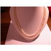 Image 1 :  Double Strand Pearls #1038691