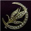 Image 1 : Victorian 14k & Seed Pearl BROOCH #1047356