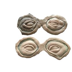 The Orville Alien Eye Prosthetics