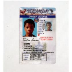 Earth to Echo Tuck (Brian 'Astro' Bradley) Driver's License Movie Props