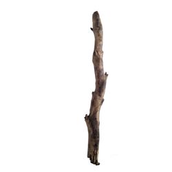 Django Django (Jamie Fox) Lone Pine Branch Movie Props