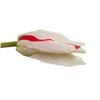 Image 2 : Tulip Fever Maria (Holliday Granger) Tulip Movie Props
