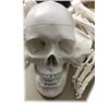 Image 2 : Hell Fest Skeletal System