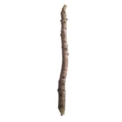 Django (Jamie Foxx) Lone Pine Branch Movie Props