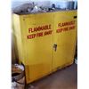Image 2 : FLAMMABLE STORAGE CABINET
