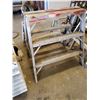 Image 1 : 3 FOOT SAWHORSE LADDER