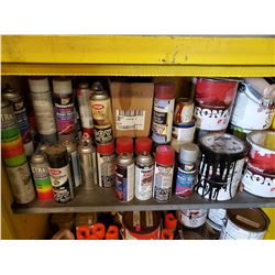SHELF CONTENTS OF PAINT