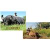 Image 1 : Hunt Package - Red Stag or Water Buffalo - Argentina