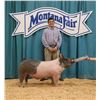 Image 1 : Sage Tamcke - Market Swine