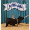 Image 1 : Harleigh Donnelly - Market Swine
