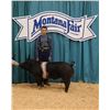 Image 1 : Cade Gerdes - Market Swine