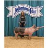 Image 1 : Avery Gerdes - Market Swine