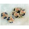 Image 1 : Corol Shell Pin and Earring  Set 1930's #1031408