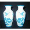 Image 1 : Pair of Peking Glass Vases #1067416